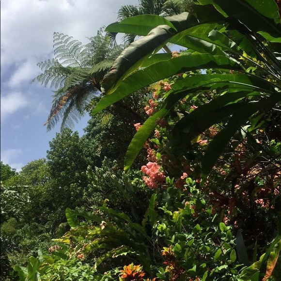 Meet your Posher, Vic - Picture 2 of 3